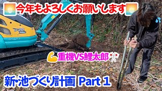 【錦鯉】新・池づくりPart１　「新春穴掘り対決❗️重機VS鯉太郎」#錦鯉 #錦鯉販売 #あすなろ鯉ファーム #アクアリウム #池づくり#koi #koifish