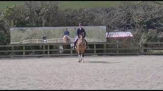 Jacky Jones BRC D4- Cornwall Trec Group