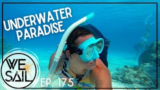 Living Our Best Life at Sea | Episode 175