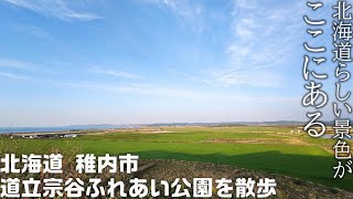 北海道 稚内市 北海道立宗谷ふれあい公園を散歩 「北海道らしい景色がここにある！」＆近況報告など