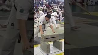 #Kyokushin #ShinKyokushin #Karate #timber #brick #breaking 🥋 #shorts