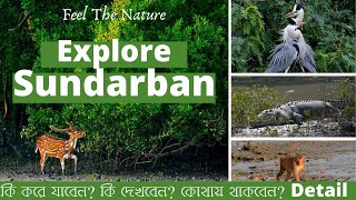 Explore Sundorbon || কি করে যাবেন, কি দেখবেন, কোথায় থাকবেন || সুন্দরবন ভ্রমণ