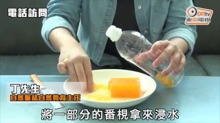 曱甴橫行　專家教你番梘殺蟲法