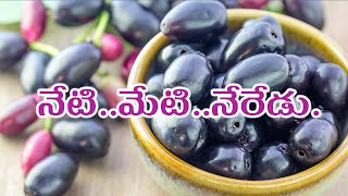 మనం సంపూర్ణ ఆరోగ్యంగా ఉండాలంటే ఏం తినాలి?||Medicinal Uses, Therapeutic Benefits For Skin, Diabetes