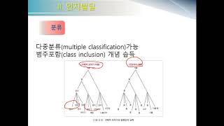 발달심리와 기독교상담5 3(4/13)