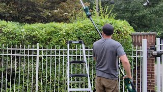 Satisfying Transformation Overgrown Hedge Trimming Lawn Landscaping Golden Vicary Burning Bush Ryobi