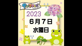 やいづテレビ 生配信　2023.06.07