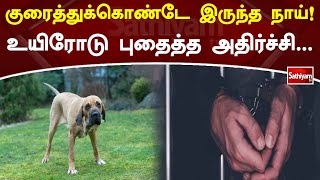 குரைத்துக்கொண்டே இருந்த நாய்! உயிரோடு புதைத்த அதிர்ச்சி | SathiyamTV