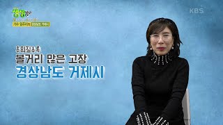 믿고 떠나는 스타의 고향 : 가수 임주리의 경상남도 거제시 [2TV 생생정보] | KBS 221208 방송