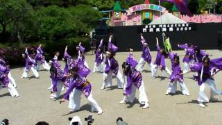 太宰府門前真舞祭【ふくこい連】だざいふ遊園地会場