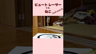 【ねこ】ビュートレーサーとねこ 2nd match【かわいい】 #shorts