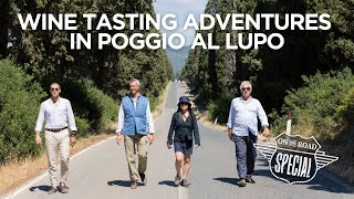 Travel to a winery in Tuscany, Italy (Poggio al Lupo, a magical place where many wolves lived)