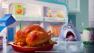 The Secret Life of Pets: What do pets do when we leave? (HD CLIP)