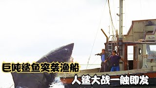 巨噸鯊魚猛然來襲，漁船被瞬間掀翻！經典電影【大白鯊】 #电影 #电影解说 #影视 #影视解说 #剧情