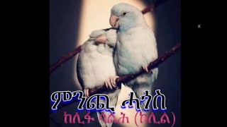 LSAN MEDIA: ምንጪ ሓጎስ