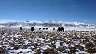 Litang - Sichuan Tibetan Plateau - China