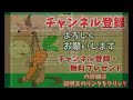 第64回 阪神大賞典（gii） 競馬レース展開予想 2016年 「競馬レース結果ハイライト」