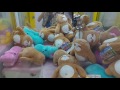 ace 夾娃娃 7 一直掉出來療癒的樹懶 ナマケモノ catch many cute sloths claw machine クレーンゲーム 無技巧 亂攻略 只求保夾