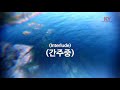 my way can ky.45173 ky 금영노래방 ky karaoke