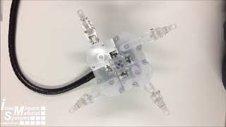 Shape Memory Alloy based reconfigurable End-effector