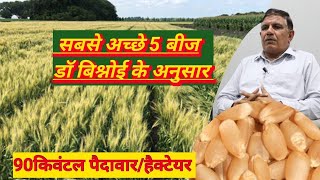 गेहूं के 5 सबसे अच्छे बीज // gehun ka 5 sabse achhi kism // 5 Top Verity of wheat