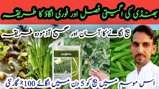 Bhindi ki kasht |Okra cultivation in 2025 | Varieties and | sowing time |Super agriculture vlogs