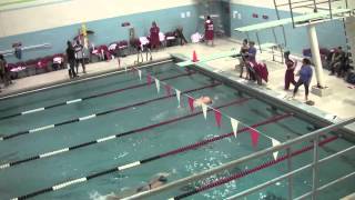 York College Swimming Highlights 11-15-13