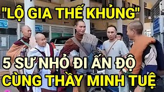 🔴 5 Sư Nhỏ Đi Bộ Hành Cùng Thầy Thích Minh Tuệ Là Ai, Gia Thế CỰC KHỦNG Cỡ Nào