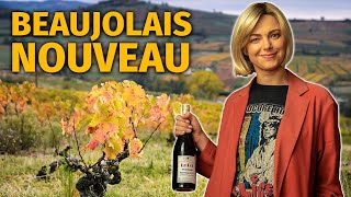 The Guide to BEAUJOLAIS NOUVEAU Wine