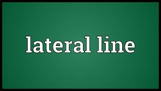 Lateral line Meaning