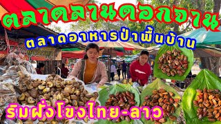 ตลาดลานดอกจาน ตลาดอาหารป่าริมโขงไทย-ลาว อำเภอเขมราฐ อุบลราชธานี ตื่นตาตื่นใจอาหารป่าแท้ๆ ราคาถูกมาก