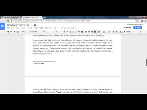 Google Documents: Footnotes Google Documents: Footnotes
