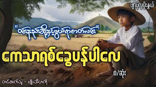 ကေသာရစ်ခွေပန်ပါလေ #ဖျာပုံလှမိုးနွယ်