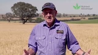 Incitec Pivot Fertilisers: Small but mighty Moly