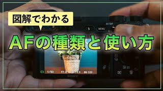 【初心者OK】図解でわかるカメラのAFの種類とピントの合わせ方（基礎編）