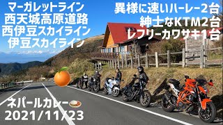 マーガレットライン 西天城高原道路 西伊豆スカイライン 伊豆スカイライン 異様に速いハーレー2台 紳士なKTM2台 レフリーカワサキ1台 西伊豆ネパールカレー🍛 2021/11/23