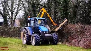 Helen on the Hedge - with Bomford and TS 115