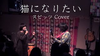 鎌田純子 / 猫になりたい〈スピッツ〉(2013.12.18LIVE)