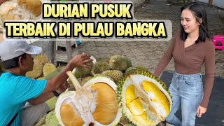 DI ANTARA DURIAN TERBAIK DI PULAU BANGKA,ADA DURIAN PUSUK \u0026 DURIAN LATO-LATO.