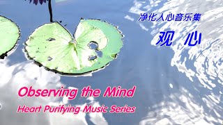 观 心    Observing the Mind    《Heart Purifying Music Series 12-1》