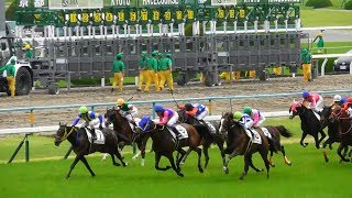 シャドウブリランテ（ルメール）が500万勝利。現地映像、京都競馬場