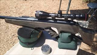 Shooting the BAM 30/Diana 52 bullpup recoilless handmade airgun