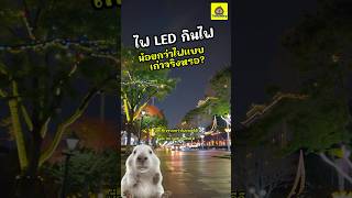 ปริศนาเทคโนโลยี | ไฟ LED กินไฟน้อยกว่าหลอดไฟแบบเก่าจริงหรือ? | พี่กะปิน้องปลาร้า | Tech story