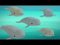 @octonauts the beluga whales full episode 34 @kidzuko