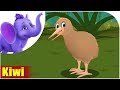 Kiwi | Song on birds | 4K | Appu Series