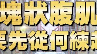 《全民星攻略》塊狀腹肌要先從何練起？