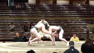 Inagaki (4-2) - Suzune (3-4) , Sumo : Natsubasho '15