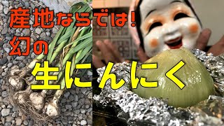 【幻の生にんにく】にんにく産地ならでは！この時期しか出回らない「生にんにく」とは？（青森県田子産にんにくホイル焼き）