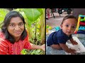 garden pathway decoration vlog in tamil watermelon from garden