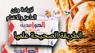 كيفية تحضير محلول الخميرة لفتح الشهية و زيادة الوزن في الماعز والاغنام